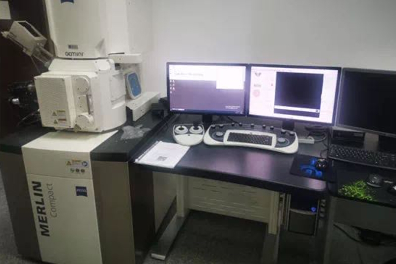 場發射掃描電子顯微鏡